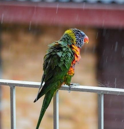 rain bird rain sensor manual