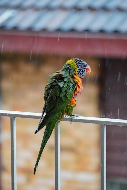rain bird rain sensor manual