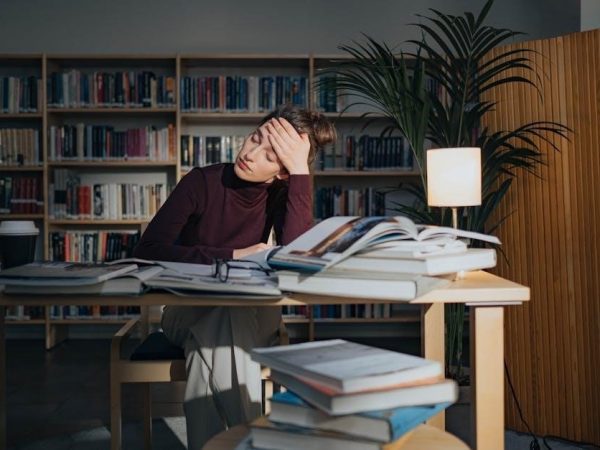 night study guide