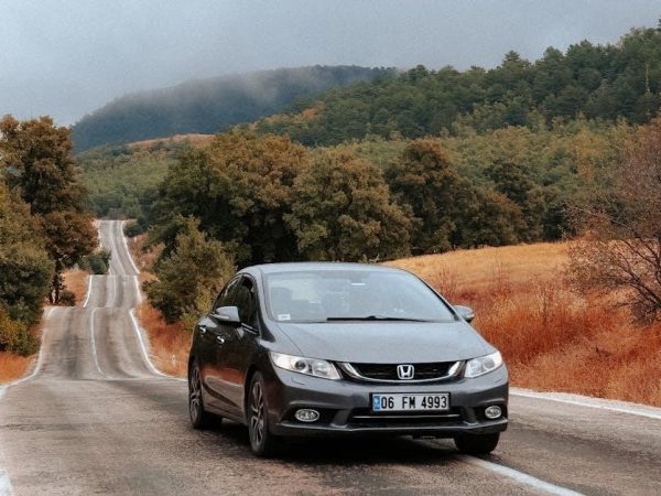 dewalt electrical licensing exam guide